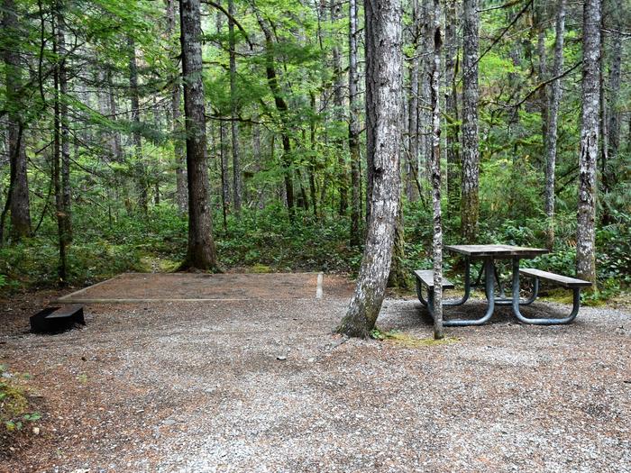 Fire ring, tent pad, and picnic tableView of campsite