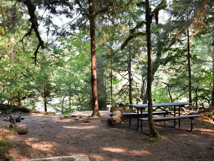 Fire ring, tent pad, and picnic table with river in distanceView of campsite