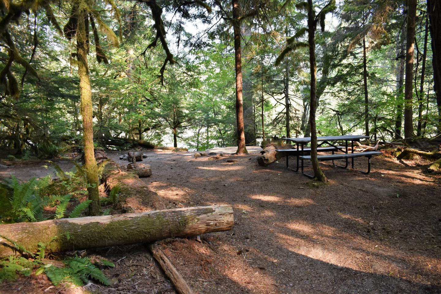 Fire ring, tent pad, and picnic table with river in distanceView of campsite