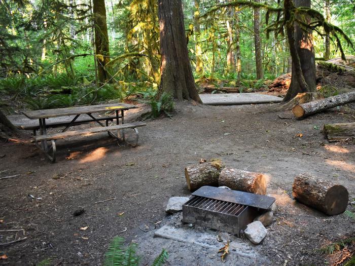 Picnic table, fire ring, and tent padsView of campsite