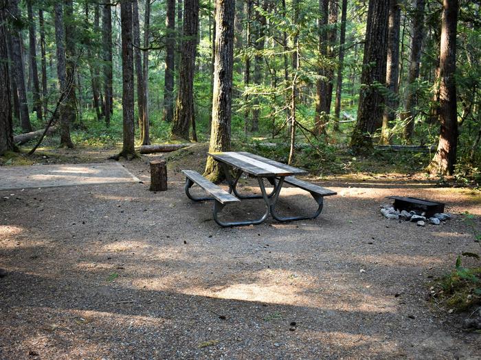 Tent pad, picnic table, and fire ring.View of campsite