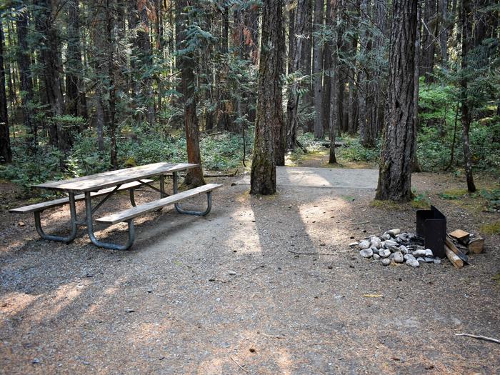 Picnic table, tent pad, and fire ringView of campsite