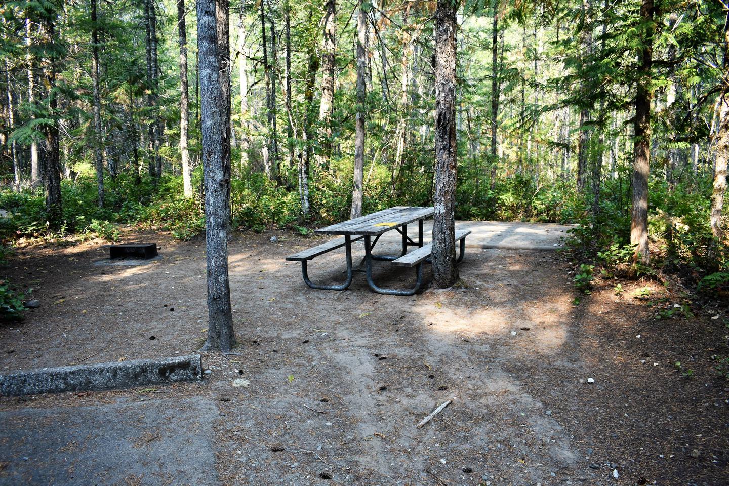 Fire ring, picnic table, and tent padView of campsite