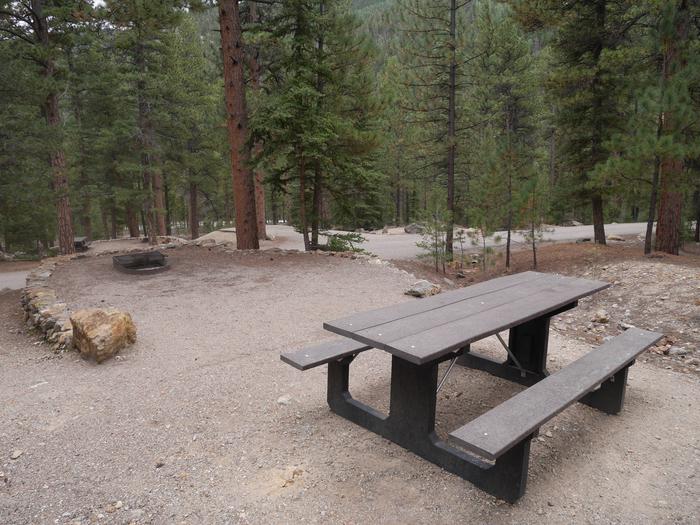 Site 2 with a fire ring, picnic table, and parking.