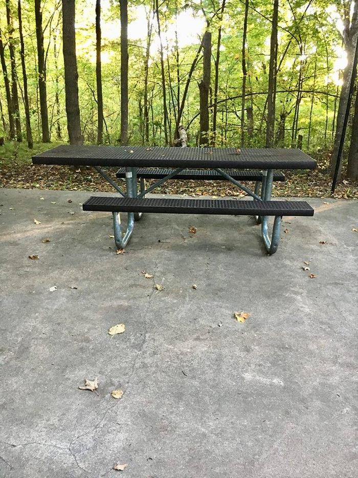 Site 12 picnic table
