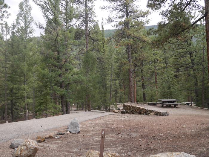 Site 8 with a picnic table, fire ring, and parking.