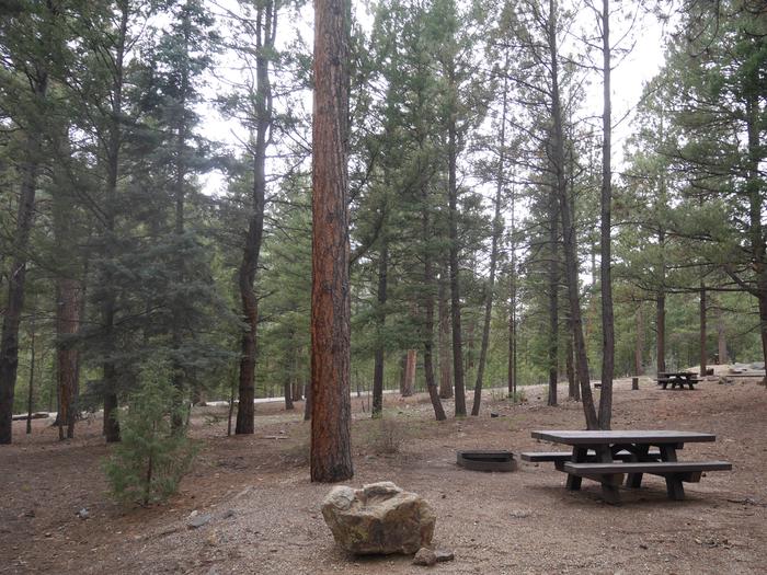 Site 15 with a picnic table, campfire ring, and parking.