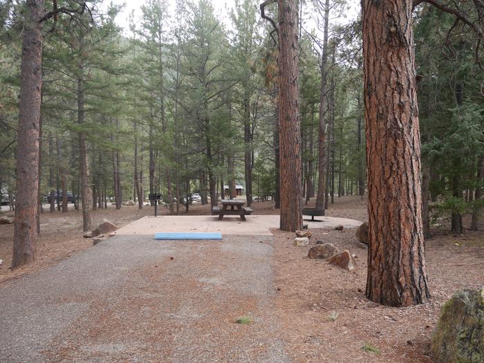 Site 16 with a picnic table, campfire ring, and parking.