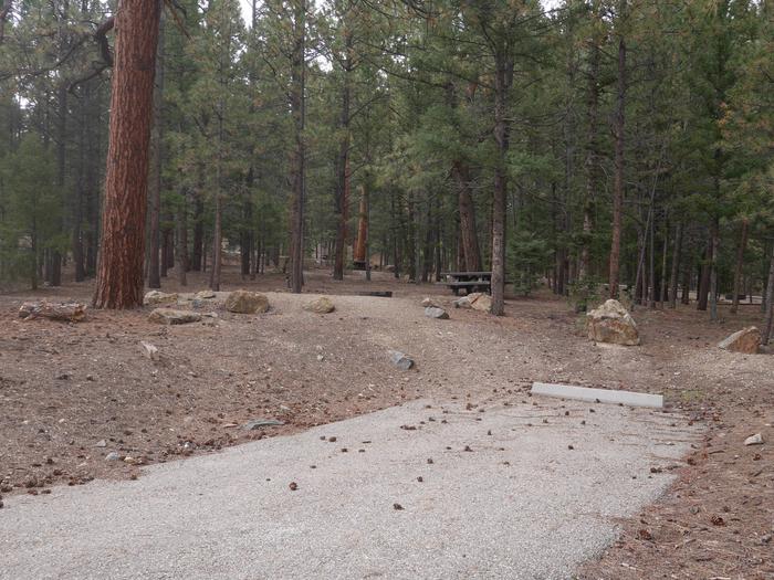 Site 21 with a picnic table, campfire ring, and parking.