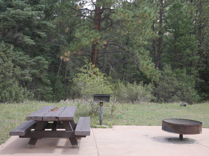 Site 3 with a picnic table, fire ring, camp grill, and parking area.
