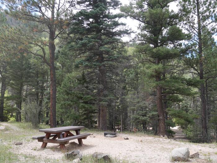 Site 13 with a picnic table, campfire ring, and parking.