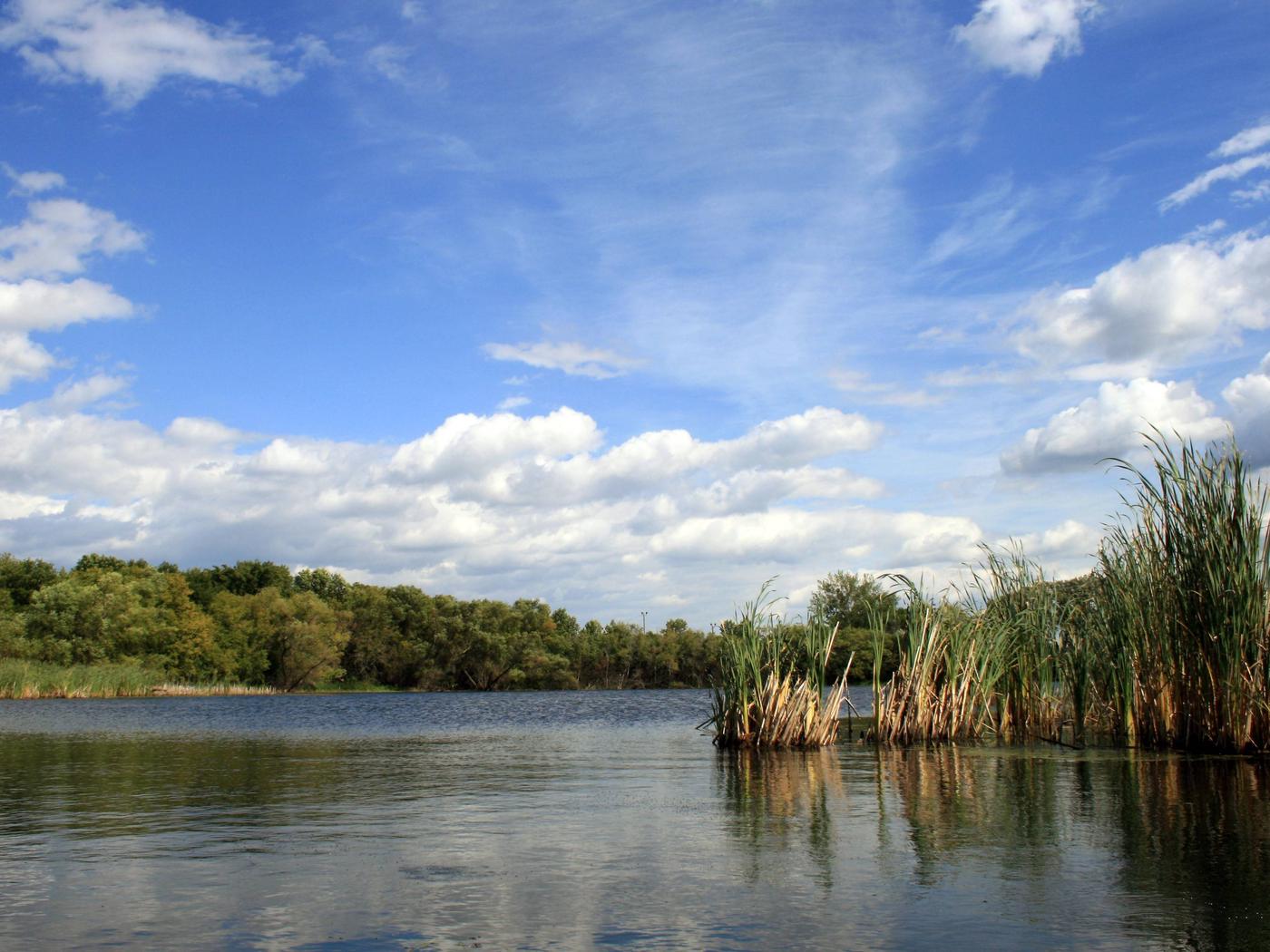 Fergus Falls Wetland Management District, Minnesota - Recreation.gov