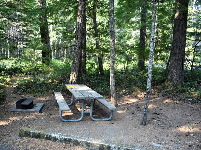 Fire ring, picnic table, and tent areaView of campsite