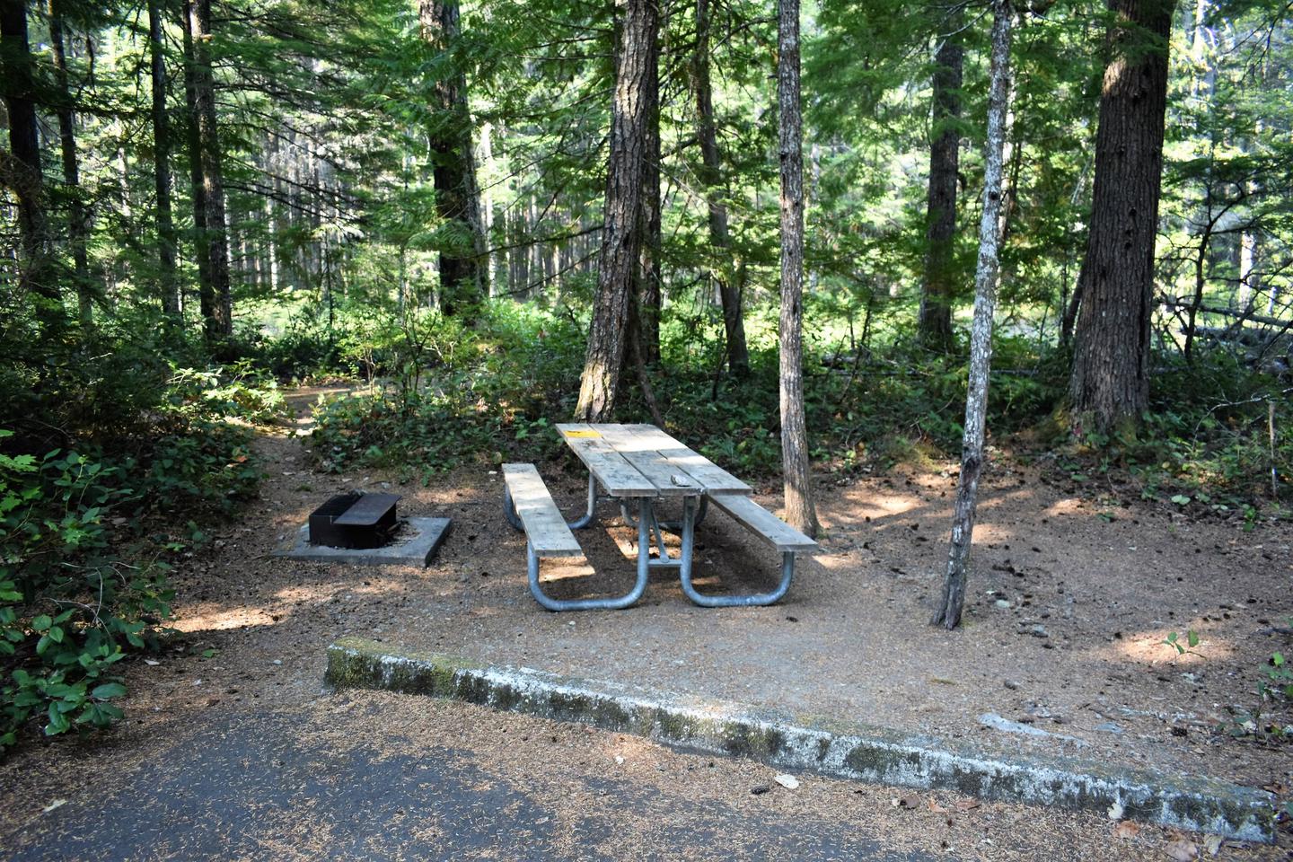 Fire ring, picnic table, and tent areaView of campsite