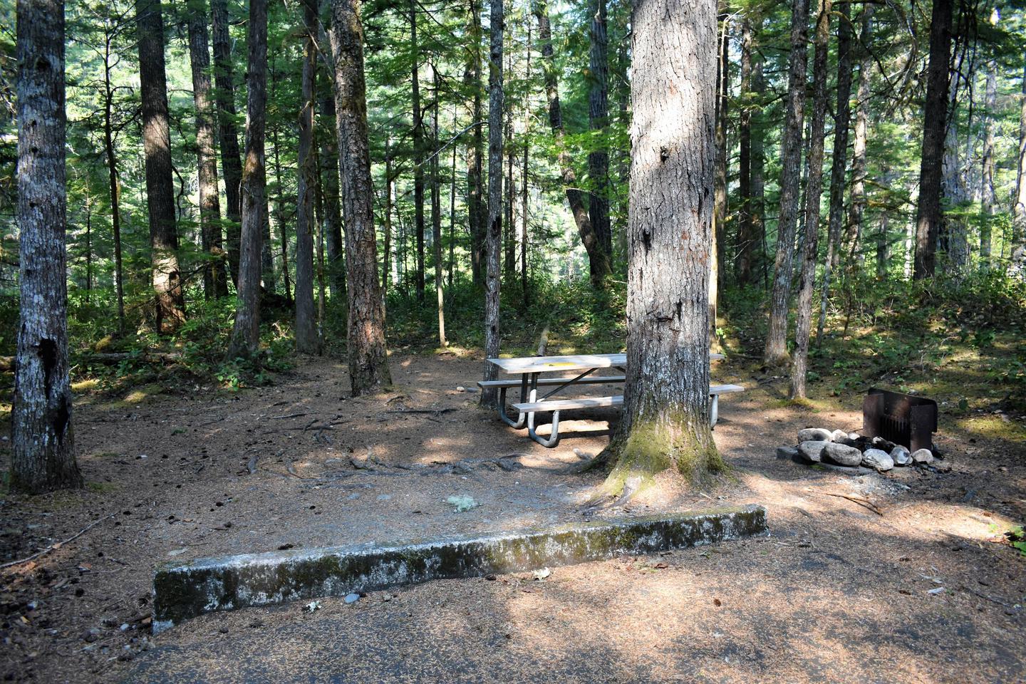 Tent area, picnic table, and fire ringView of campsite