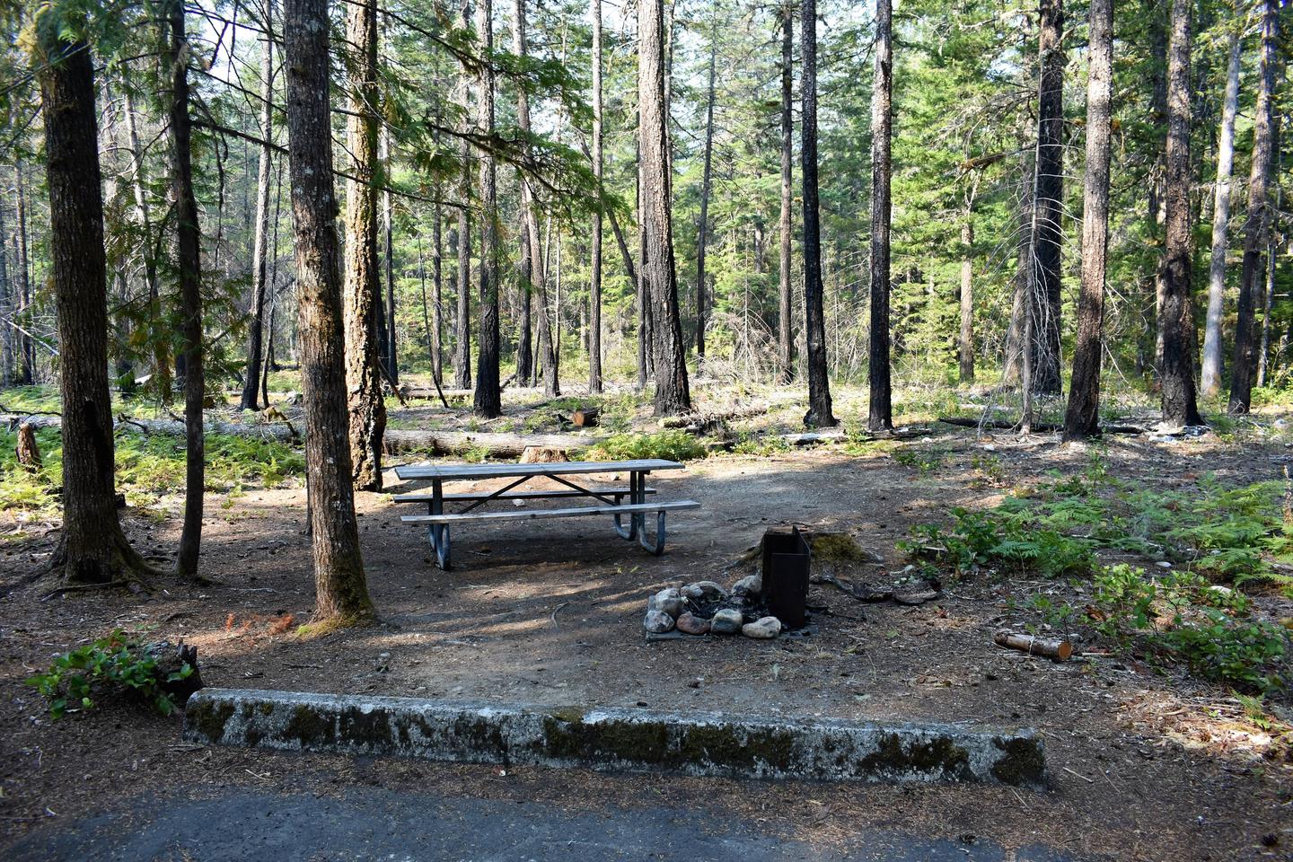Picnic table, tent area, and fire ringView of campsite