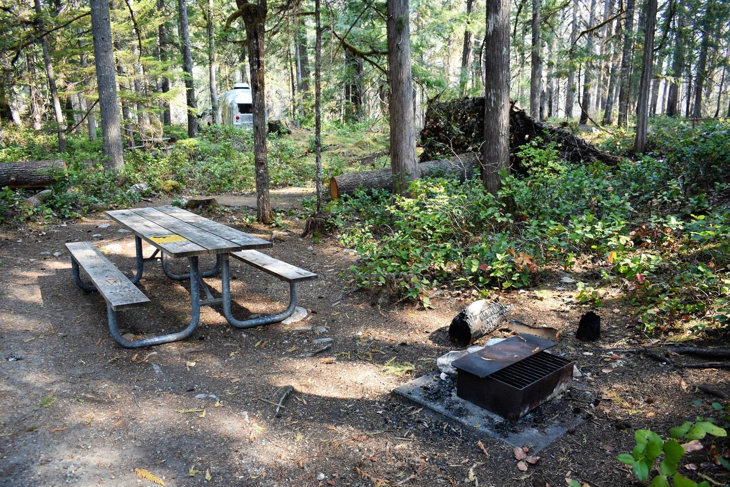 Picnic table, tent area, and fire ringView of campsite