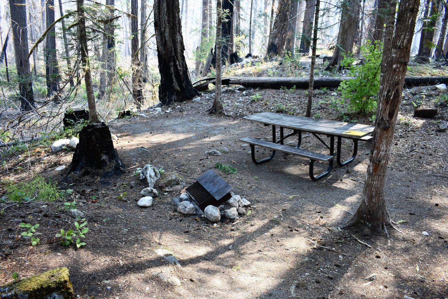 Tent area, fire ring, and picnic tableView of campsite