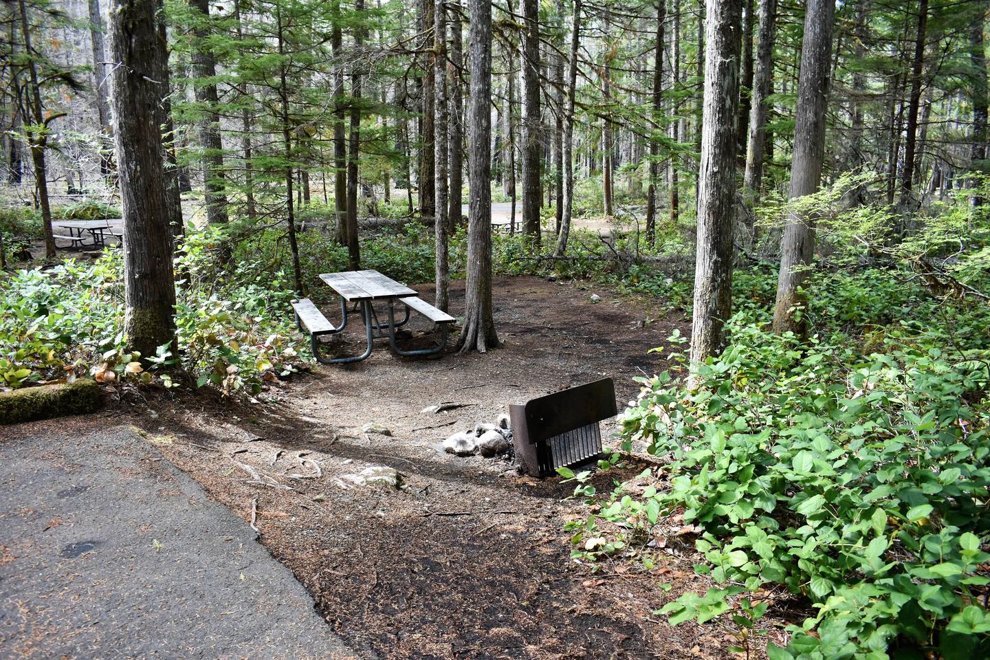 Picnic table, fire ring, and tent areaView of campsite