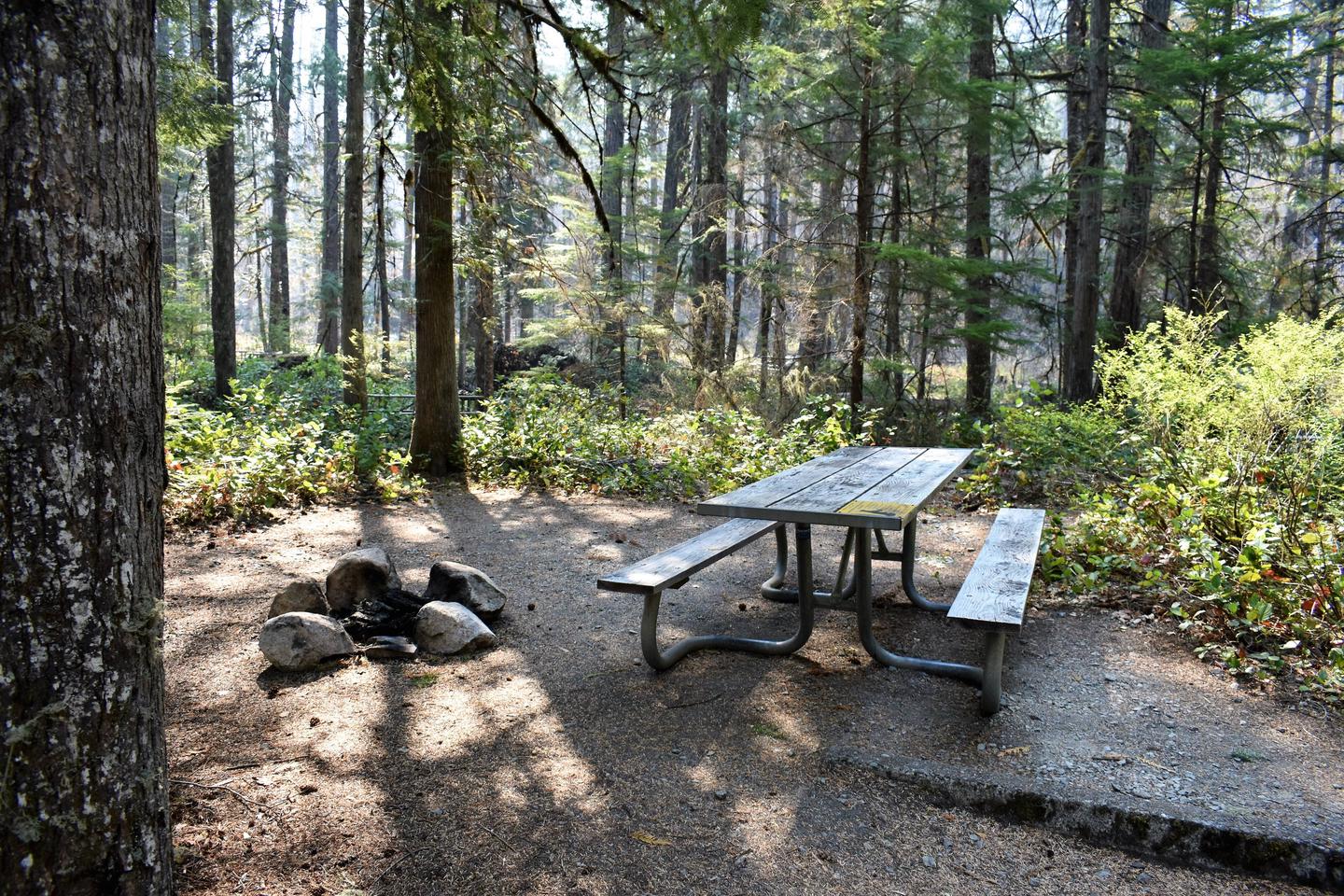 Fire ring and picnic tableView of campsite
