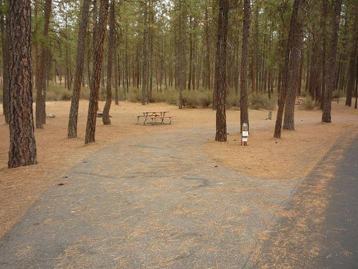 Site partially shaded with pine treesPull through with slide out to the left