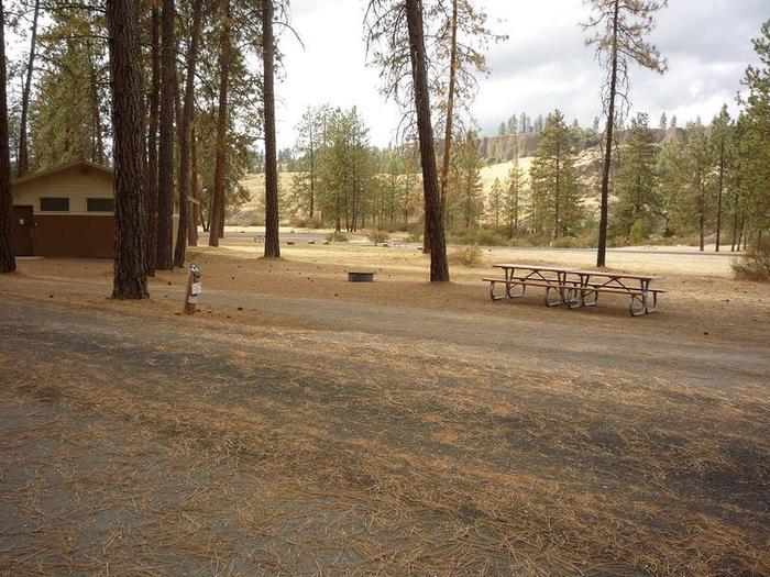 Open site partially shaded by pine treesPull through with slide out to the right