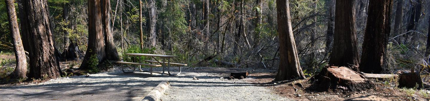 Picnic table and fire ringView of campsite