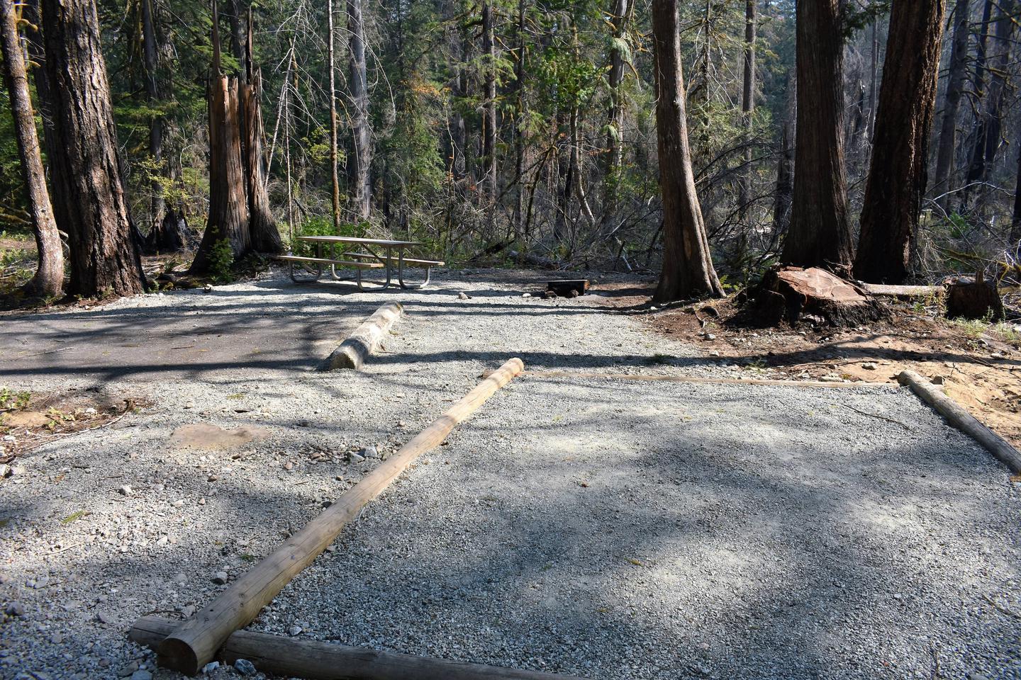 Picnic table, fire ring, and tent padView of campsite