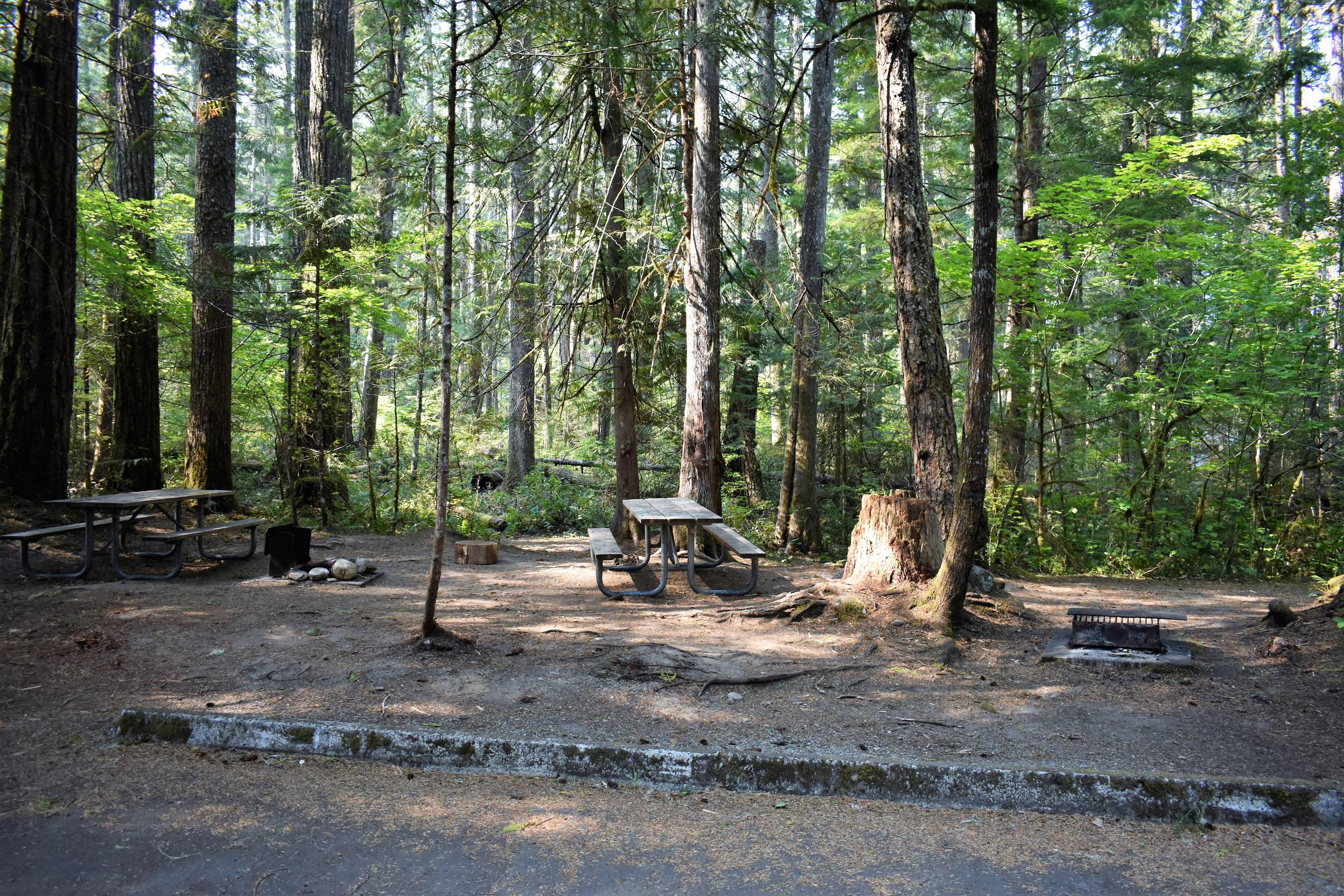 Site 116, Newhalem Campground - Recreation.gov