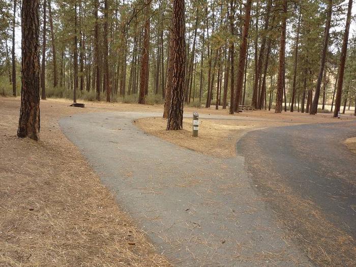 Partially shaded with pine treesPull through with tip out on the left