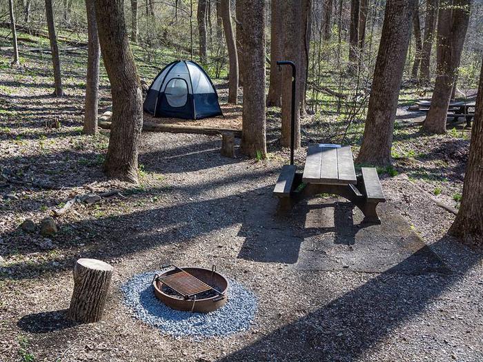 Campsite showing picnic table, fire ring, mulched tent pad with blue tent Owens Creek Site #5