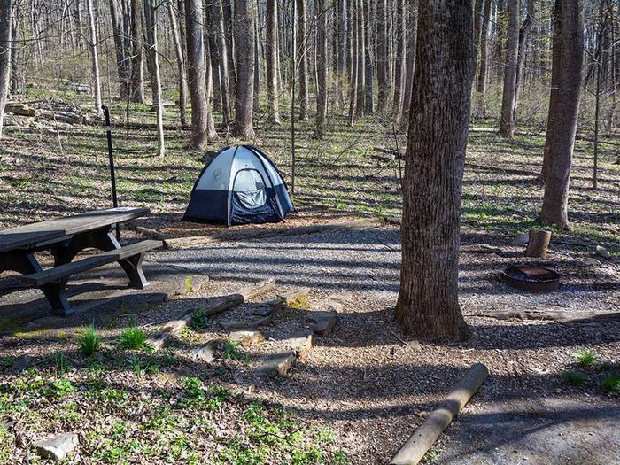 Campsite showing picnic table, fire ring, mulched tent pad with blue tent and stairs leading from parking spot to picnic table. Owens Creek Site #6