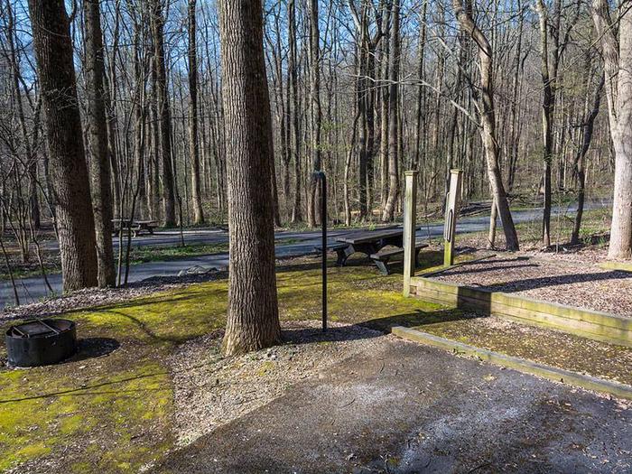 Campsite showing picnic table, fire ring, mulched tent pad with posts and handrails for accessibility.Owens Creek Site #8