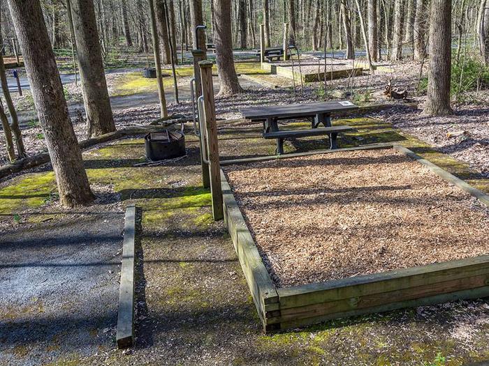Campsite showing picnic table, fire ring, mulched tent pad with posts and handrails for accessibility.Owens Creek Site #9