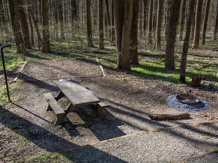 Campsite showing picnic table, fire ring, mulched tent pad.Owens Creek Site #11