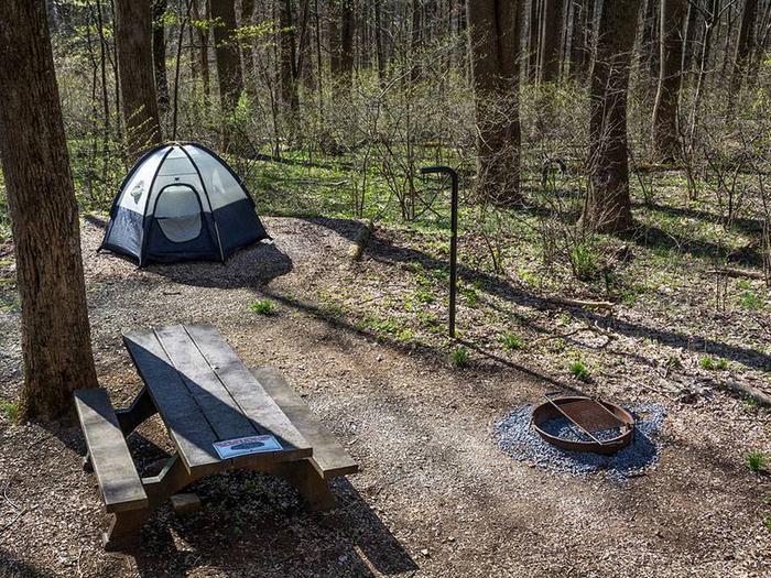 Campsite showing picnic table, fire ring, mulched tent pad with blue tent.Owens Creek Site #12