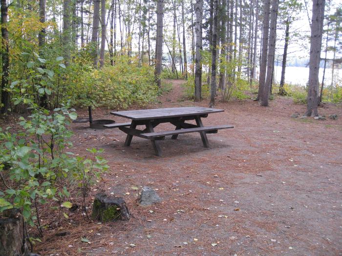 Picture of picnic table and fire ring.Typical campsite picnic table with fire ring.  Some campsites have direct access to the lake.