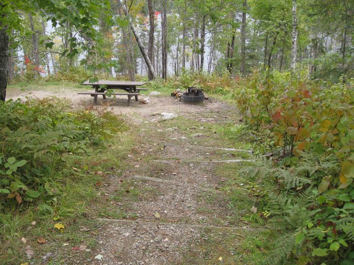 Picture of campsite.Campsite with table and fire ring and tent pad.