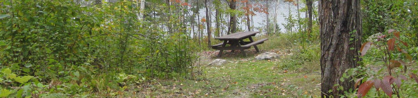 Picture of campsite.Walk-in campsite, table and fire ring near the lake.
