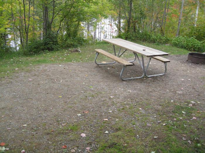 Picture of campsite.Campsite showing table, fire ring and tent pad.