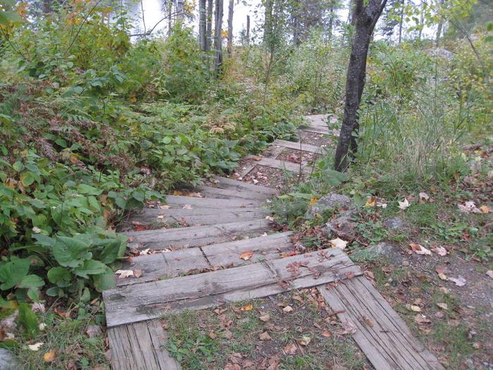 Picture of steps leading to campsite.Campsite is accessed via multiple steps.