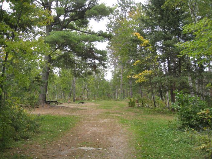 Picture of group camping area.Group camping area for trailers and tents.