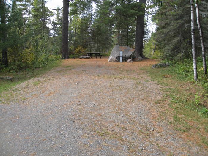Picture of campsite.Back-in campsite with table, fire ring, and tent pad.