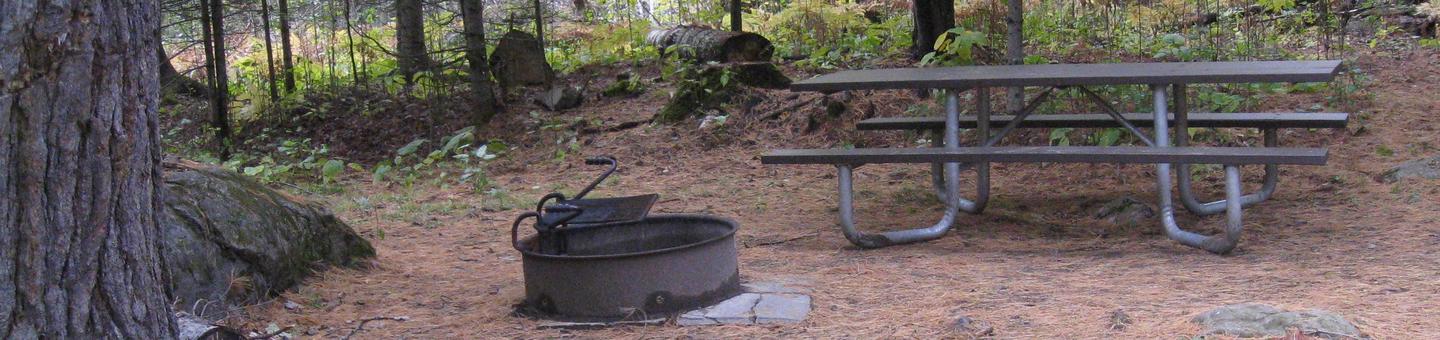 Picture of campsite.Campsite with table, fire ring, and tent pad.