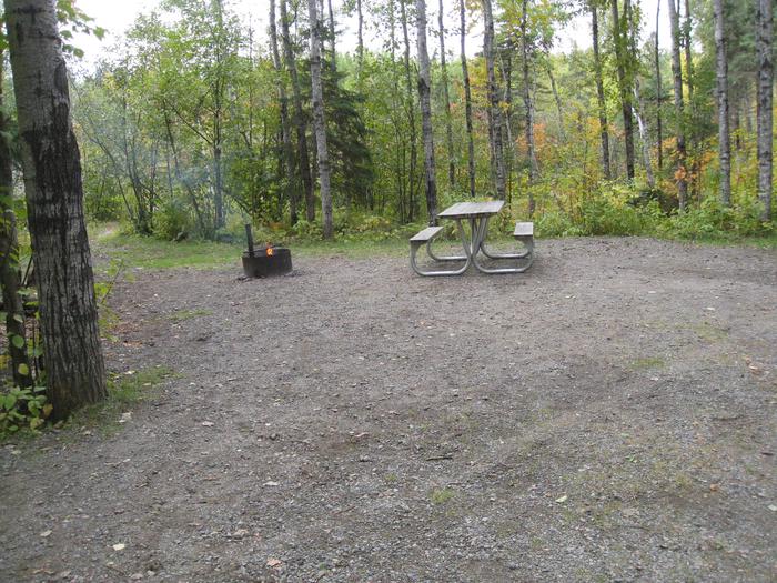 Campsite with table, fire ring, and tent pad.