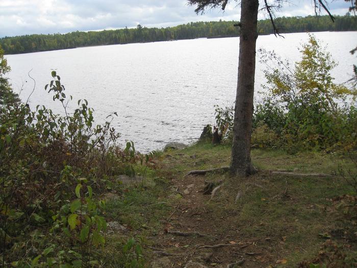 Picture of path to shoreline.Access path to Birch Lake from site 25.