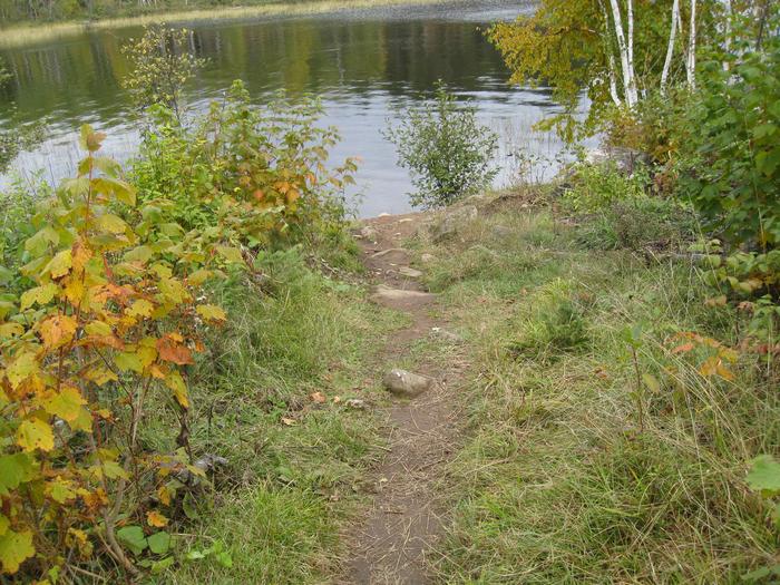 Picture of path to shoreline.Trail from campsite to lake.
