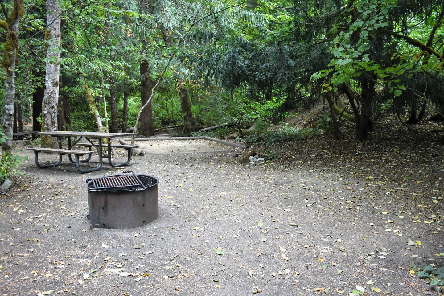 Picnic table, fire ring, and tent padView of campsite