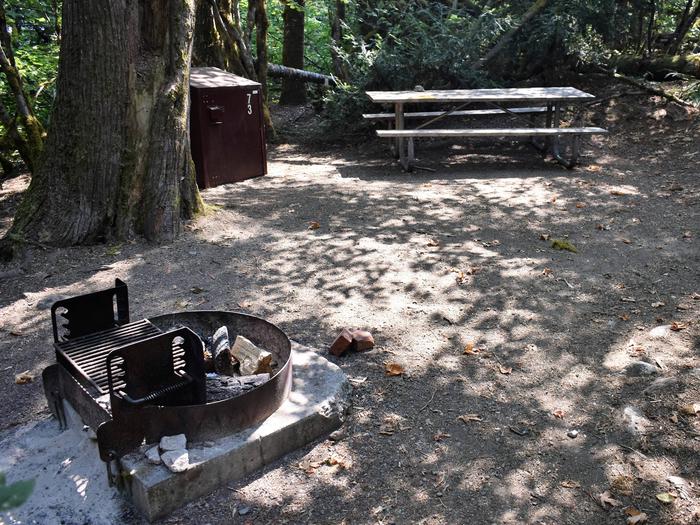 Fire ring, food storage locker, and picnic tableView of campsite