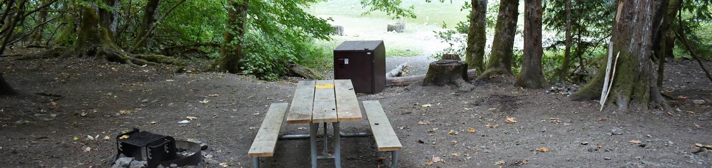 Fire ring, picnic table, and food storage lockerView of campsite